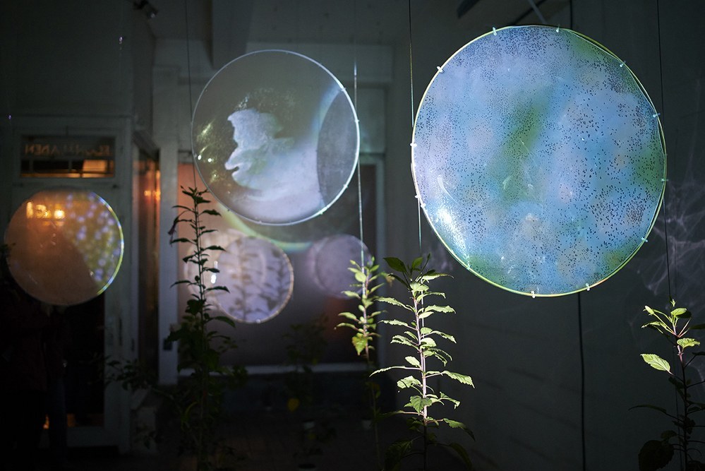 Mejia Waelz. GOLDSTUECKE Gelsenkirchen 2022. Foto Martin Schmuedderich (2)_999x800