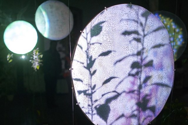 Mejia Waelz. GOLDSTUECKE Gelsenkirchen 2022. Foto Martin Schmuedderich (4)_640x800