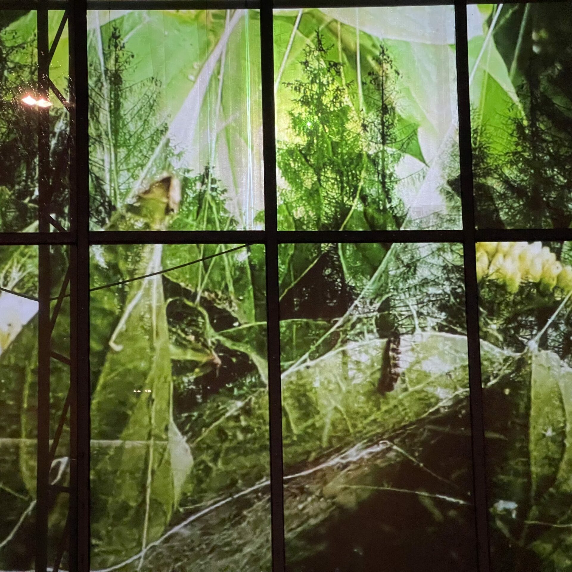 Berndt-Groll-Seltmann. KUNSTMUSEUM Luedenscheid 2021. Foto Tom Groll.